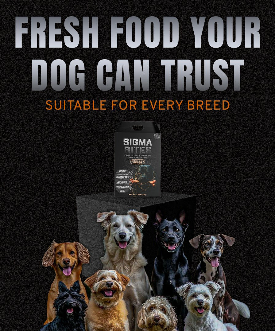 Sigmabites Dog Food