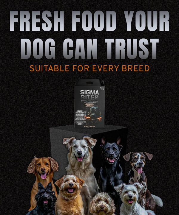 Sigmabites Dog Food